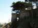  jardins suspendus